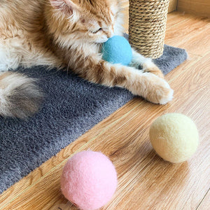 Gravity Barking Cat Toy Ball