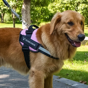 Reflekterende alt-i-en hivefri hundesele